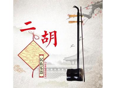 招聘滁州二胡家教老师